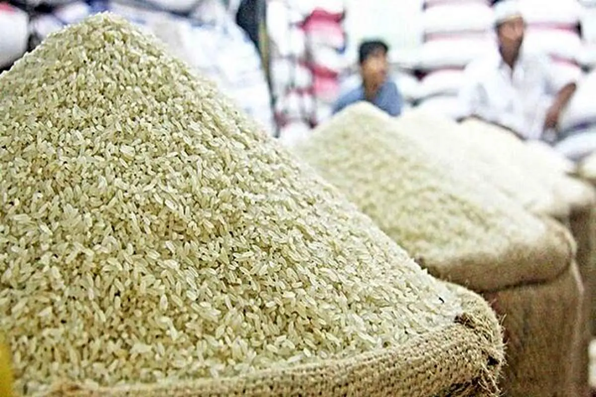 افزایش شدید قیمت برنج ایرانی؛ نرخها رکورد زد!