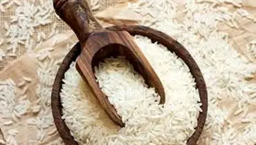 برنج به زودی ارزان میشود