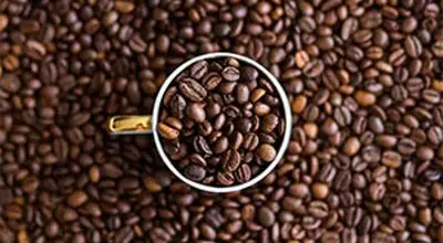 کافئین؛ درمان یا عامل سردرد؟
