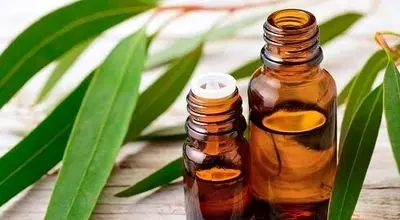 راز آبرسانی طبیعی پوست با یک گیاه جادویی