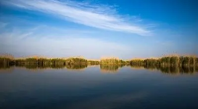 هورالعظیم دوباره جان گرفت؛ بازگشت آب و سمورها به تالاب خشک‌شده+فیلم