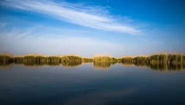 هورالعظیم دوباره جان گرفت؛ بازگشت آب و سمورها به تالاب خشک‌شده+فیلم