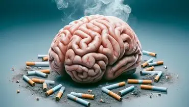 با ترک سیگاری‌ مغزتان را ترمیم کنید