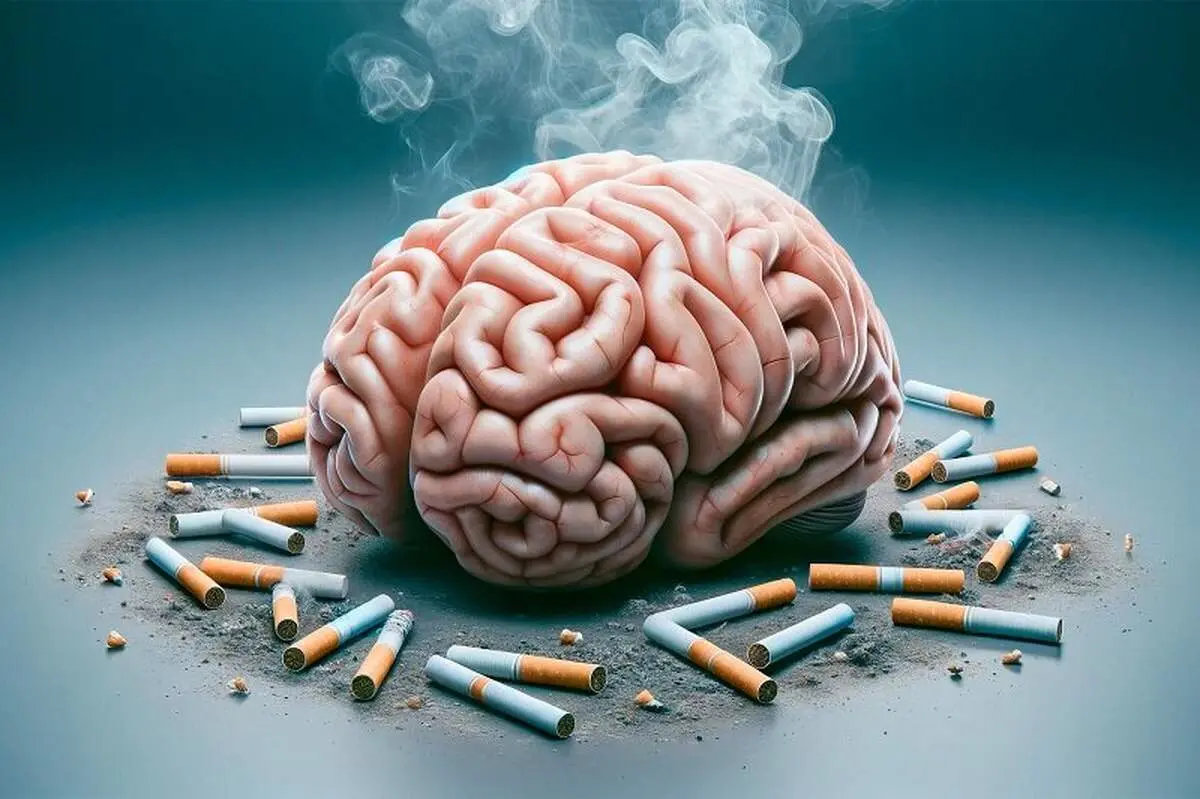 با ترک سیگاری‌ مغزتان را ترمیم کنید
