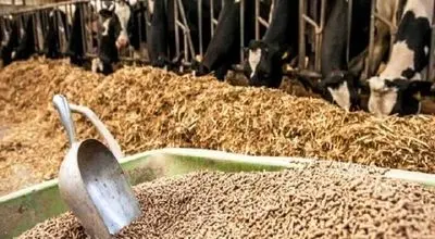 مشکلی در تخلیه نهاده ها در بنادر نداریم