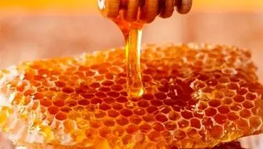 شکل عسل طبیعی در زیر میکروسکوپ+فیلم