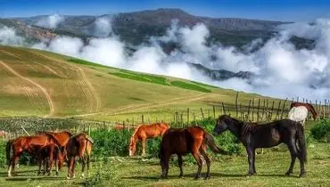 راهنمای سفر هیجان انگیز به سوباتان سوییس ایران