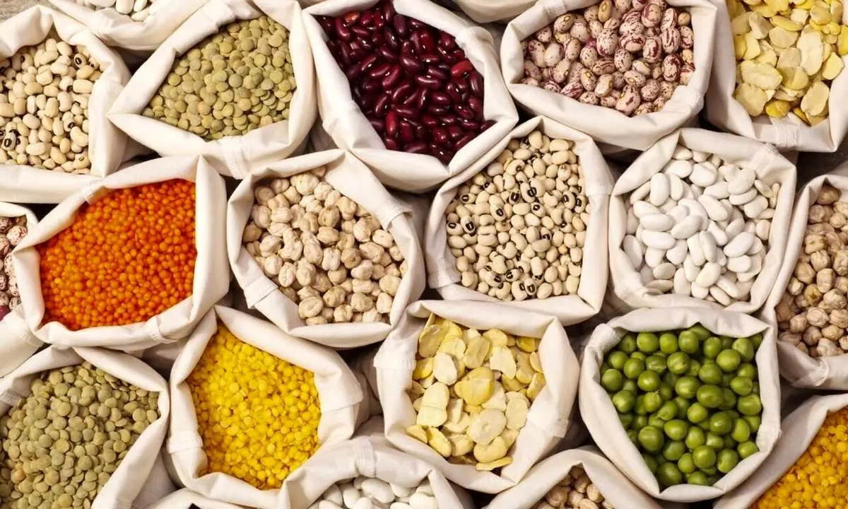 تاثیر مصرف حبوبات بر فشار خون