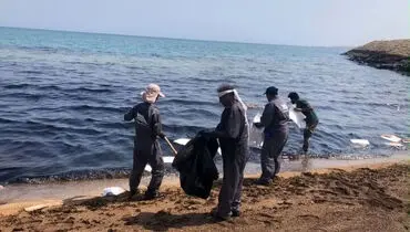 توضیحات معاون وزیر نفت درباره منشأ لکه‌های نفتی در خلیج فارس 