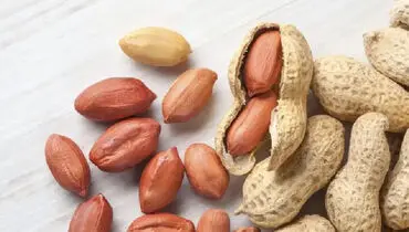 با خوردن این مغز، جوان بمانید