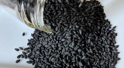 قدرت پنهان سیاه‌دانه؛ از طب سنتی تا علم مدرن