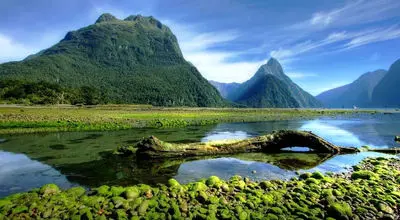 ۱۰ واقعیت جالب و کمترشناخته‌شده درباره نیوزیلند + عکس