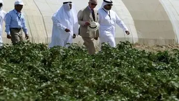 سرمایه گذاری 622 میلیون دلاری قطر در بخش کشاورزی 