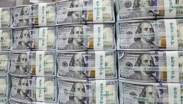 قیمت دلار در بازار آزاد امروز چهارشنبه ۲ اردیبهشت ۱۴۰۵ +جدول