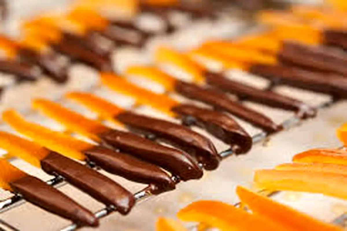 «وسوسه‌ای تمام‌عیار؛ پرتقال شکری در آغوش شکلات تلخ»+فیلم