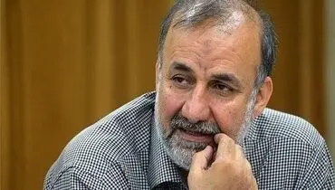 بیادی: یک نهاد مشخص باید مسئول مقابله با نفوذی‌ها باشد
