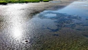 ذخایر آبی کشور در سال جاری  ۴۰ درصد کمتر از سال گذشته است