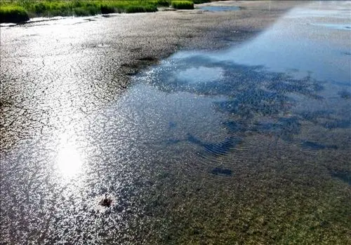 برداشت از ذخایر آبی این سدهای تهران متوقف شد