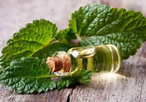 ریفلاکس معده را با این غذاها برطرف کنید