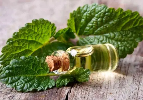 ریفلاکس معده را با این غذاها برطرف کنید