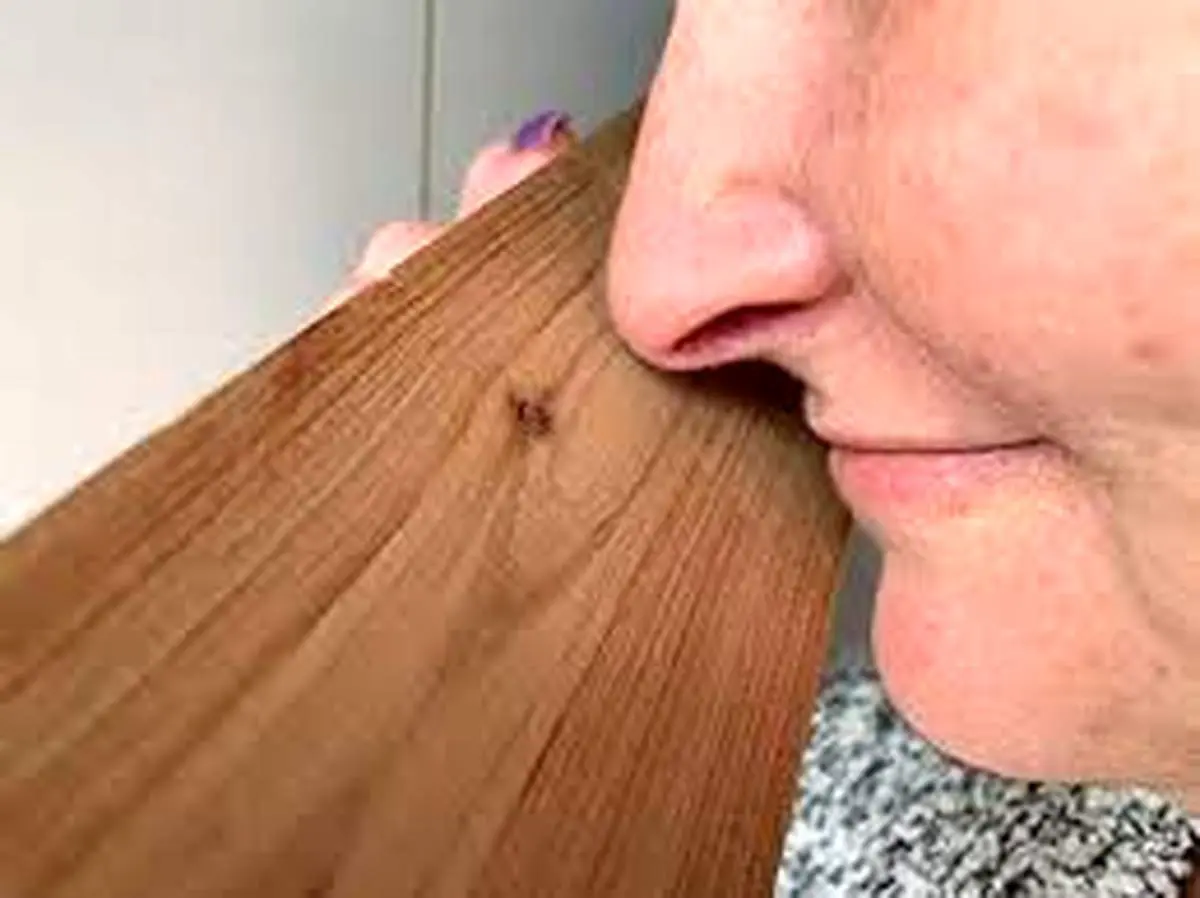 علت بوی بد چوب مبل
