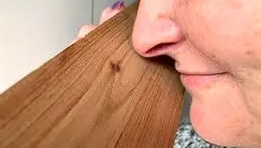 علت بوی بد چوب مبل
