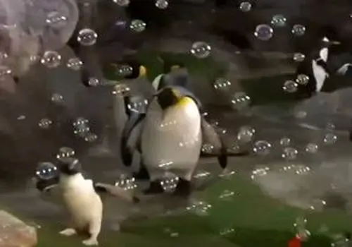 آب الکترولیت دار چیست و چه تاثیری بر سلامت و عملکرد بدن دارد ؟
