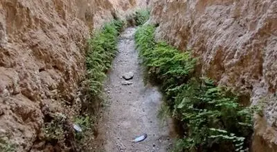 ماجرای فوت قناتی که سرو ۴۰۰۰ ساله ابرکوه را آبیاری می‌کرد
