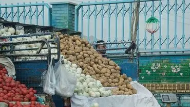 سقوط آزاد قیمت سیب زمینی پس از ممنوعیت صادرات
