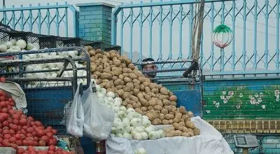 سقوط آزاد قیمت سیب زمینی پس از ممنوعیت صادرات

