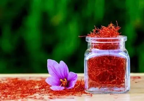 راز زعفران در سفره ایرانی