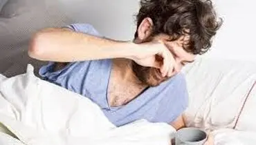 
افراد صبح گاهی در مقابل شب زنده دار چه راهی برای انرژی باید بخورند
