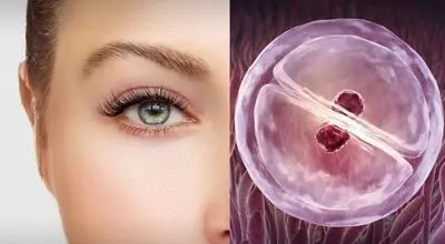 جوان سازی سلول های آسیب دیده چشم با فعال سازی سه ژن