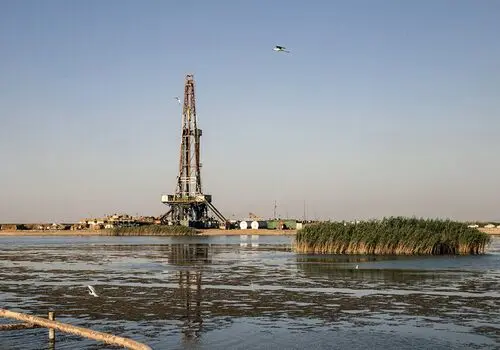 هورالعظیم دوباره جان گرفت؛ بازگشت آب و سمورها به تالاب خشک‌شده+فیلم