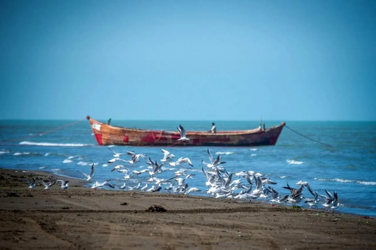 تمامی فعالیت‌های دریایی در دریای مازندران از اواخر وقت امروز تعطیل شد