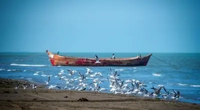 تمامی فعالیت‌های دریایی در دریای مازندران از اواخر وقت امروز تعطیل شد