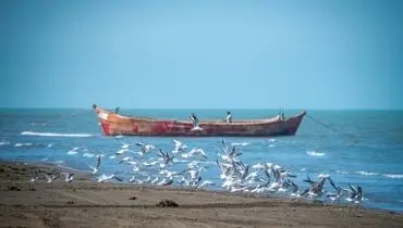 تمامی فعالیت‌های دریایی در دریای مازندران از اواخر وقت امروز تعطیل شد