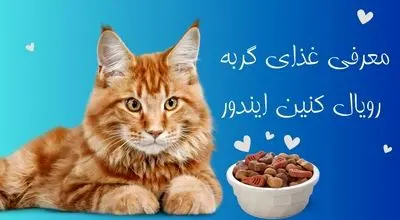 همه چیز درمورد غذای گربه رویال کنین ایندور