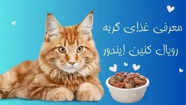 همه چیز درمورد غذای گربه رویال کنین ایندور
