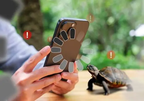 املاک و مغازه های چهره مطرح کشتی ایران را آتش زدند