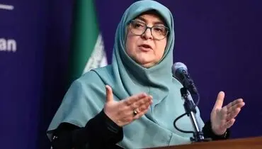 درخواست سخنگوی دولت در رابطه با رأی اعتماد مجلس به مدنی زاده