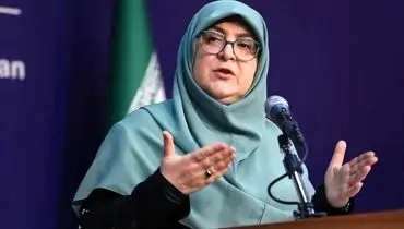 درخواست سخنگوی دولت در رابطه با رأی اعتماد مجلس به مدنی زاده
