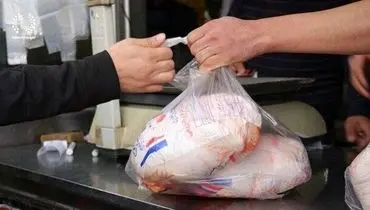 قیمت انواع مرغ ۲ آذر ۱۴۰۴