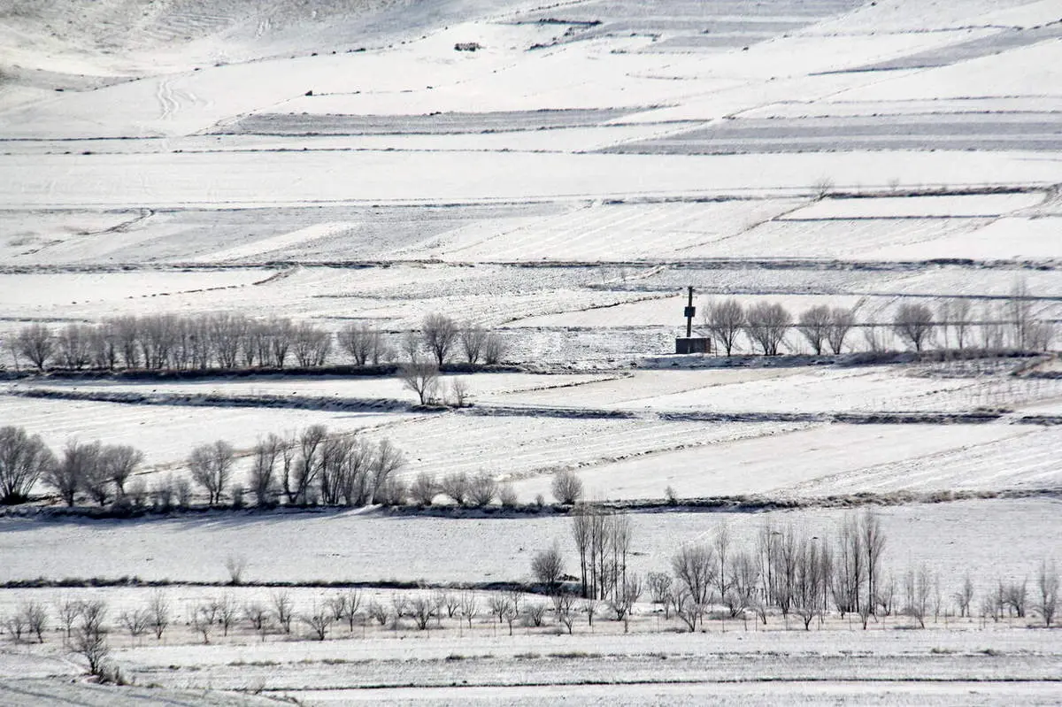 پیش بینی شرطی هواشناسی برای هفته آینده