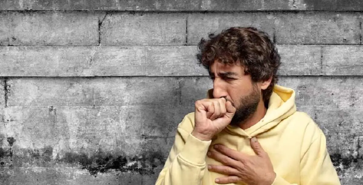 با این گیاه دارویی سرفه خشک را آرام کنید