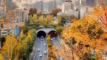 کاهش دما تا ۱۰ درجه در شمال شرق؛ خطر سرمازدگی باغات و مزارع