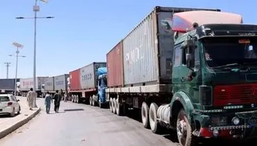 صادرات این محصول کشاورزی مجاز شد