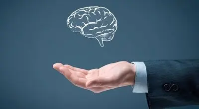 ۱۳ عادت ساده برای حفظ سلامت مغز و تقویت حافظه