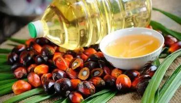 روغن پالم و سطح کلسترول خون 