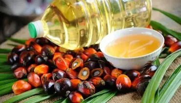 روغن پالم و سطح کلسترول خون 